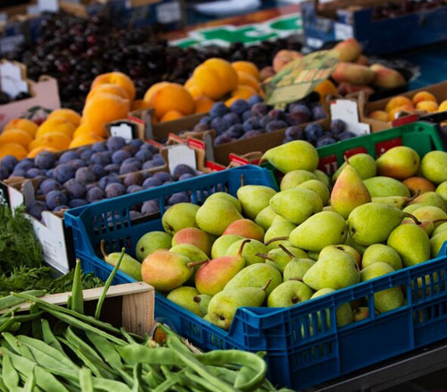 Plant-Based Products